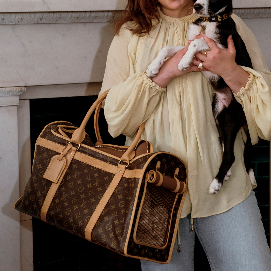 Louis Vuitton Sac Chien 50 Dog Carrier Monogram Canvas